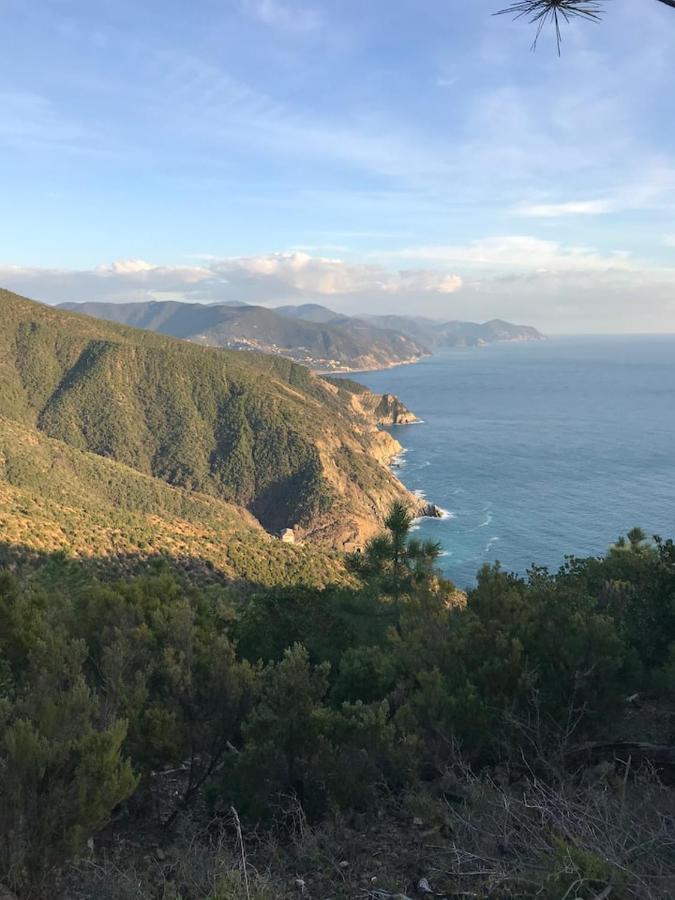 La Casa Di Ester Lavagna Buitenkant foto